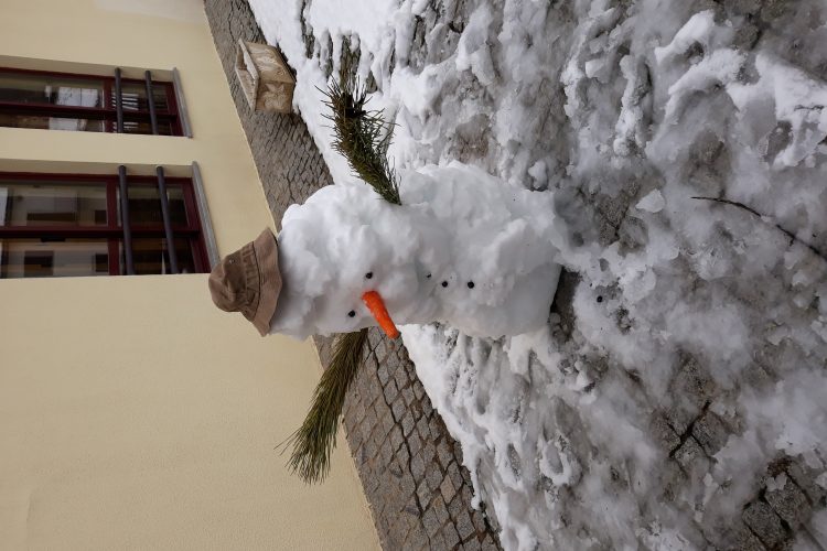 Dia de Neve